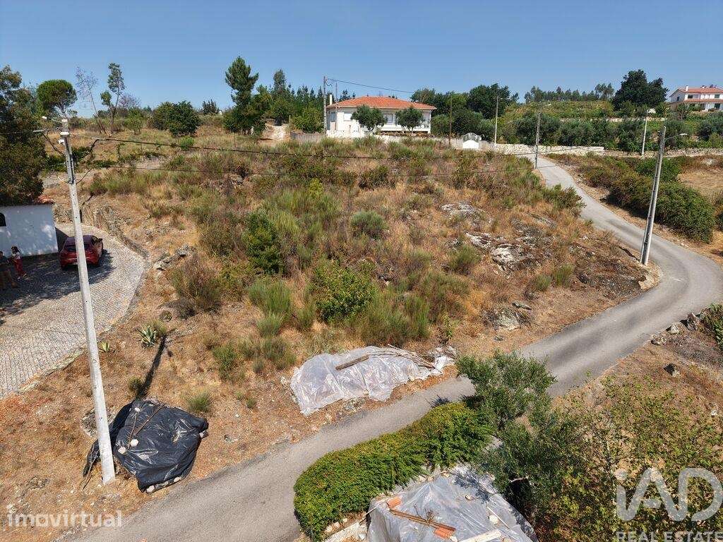 Terreno Agrícola em Mangualde, Mesquitela e Cunha Alta - Grande imagem: 5/6