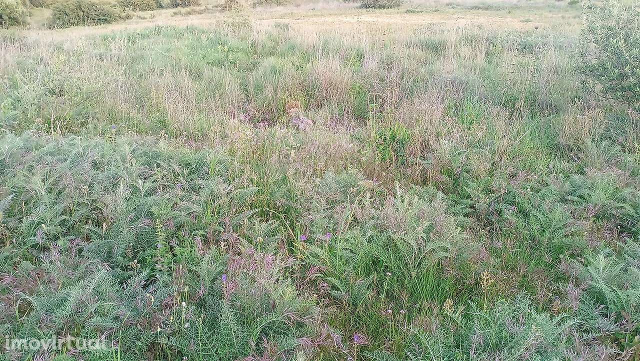 Terreno  para venda - Grande imagem: 5/5