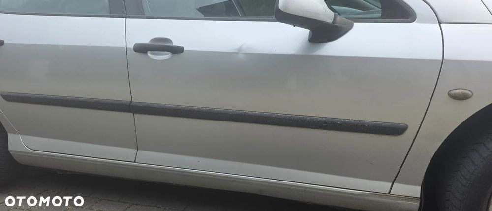 Peugeot 407 - 18