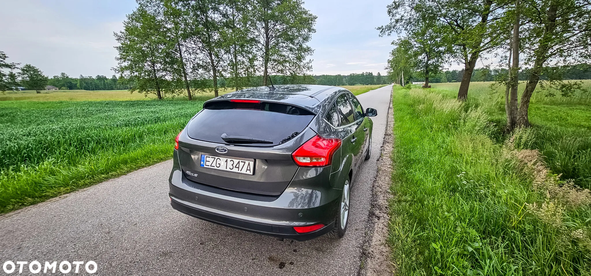 Ford Focus 1.6 Trend Sport - 23
