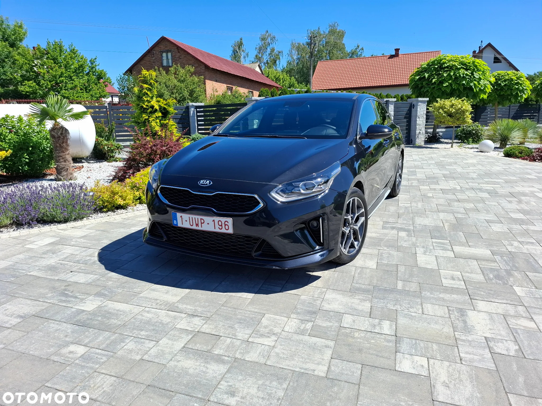 Kia ProCeed 1.5 T-GDI GT Line - 2