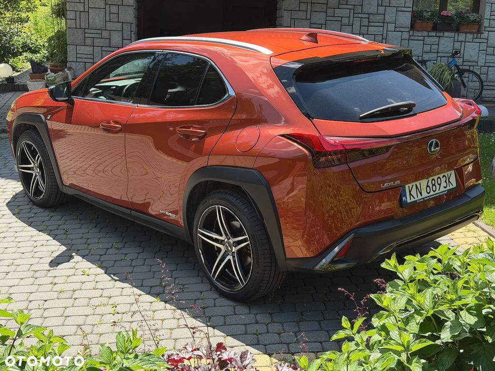 Lexus UX 250h GPF F Sport AWD - 15