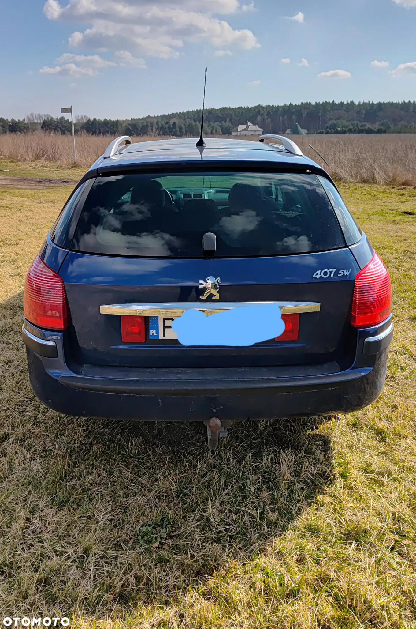 Peugeot 407 - 3