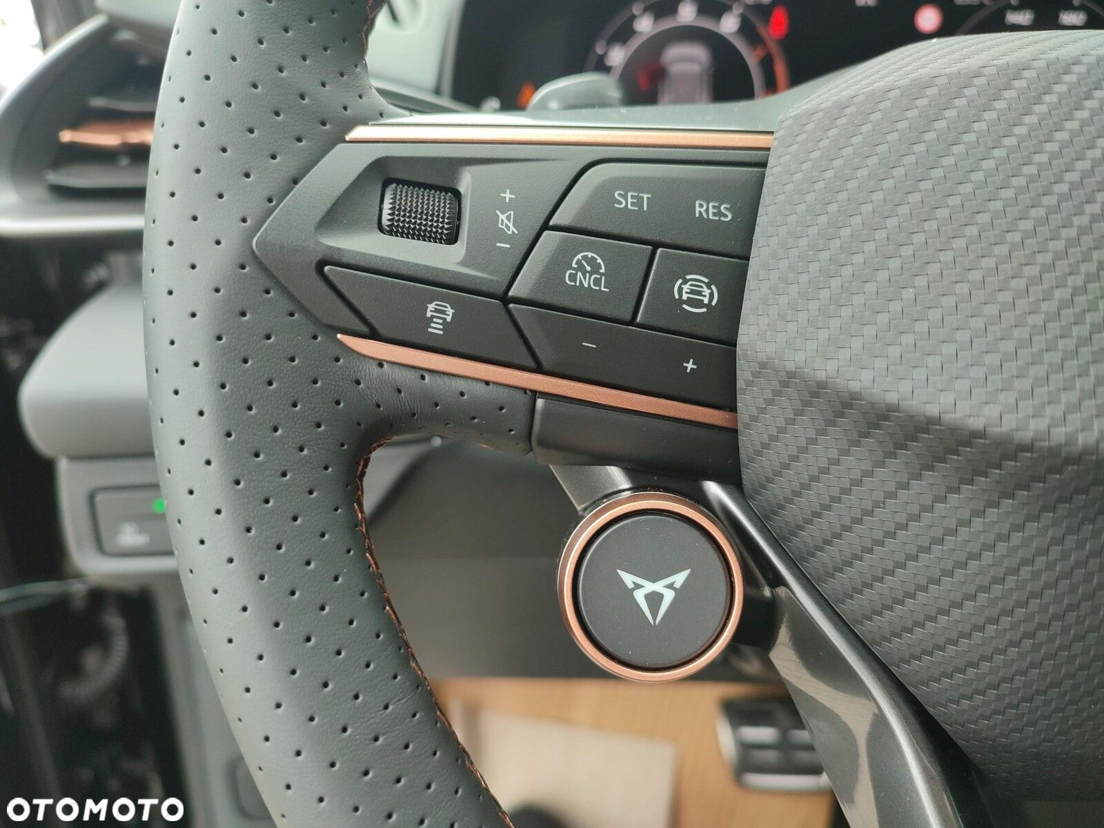 Cupra Terramar - 25