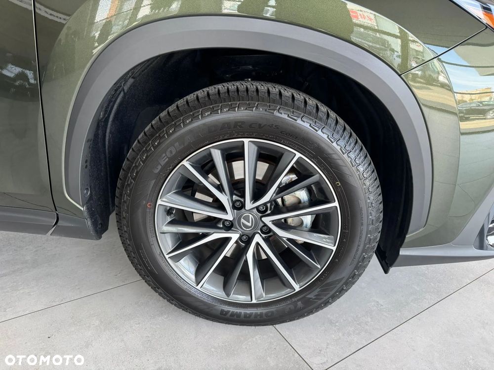 Lexus NX - 11