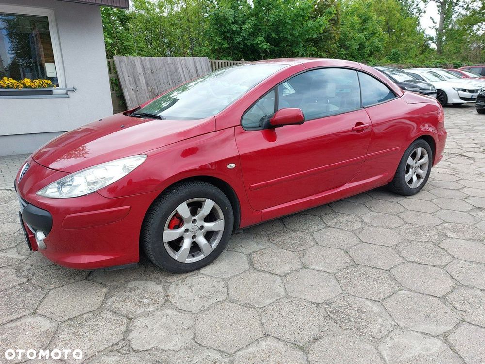 Peugeot 307 CC - 10