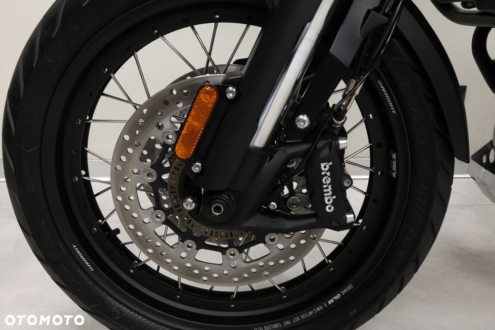 Triumph Tiger - 33
