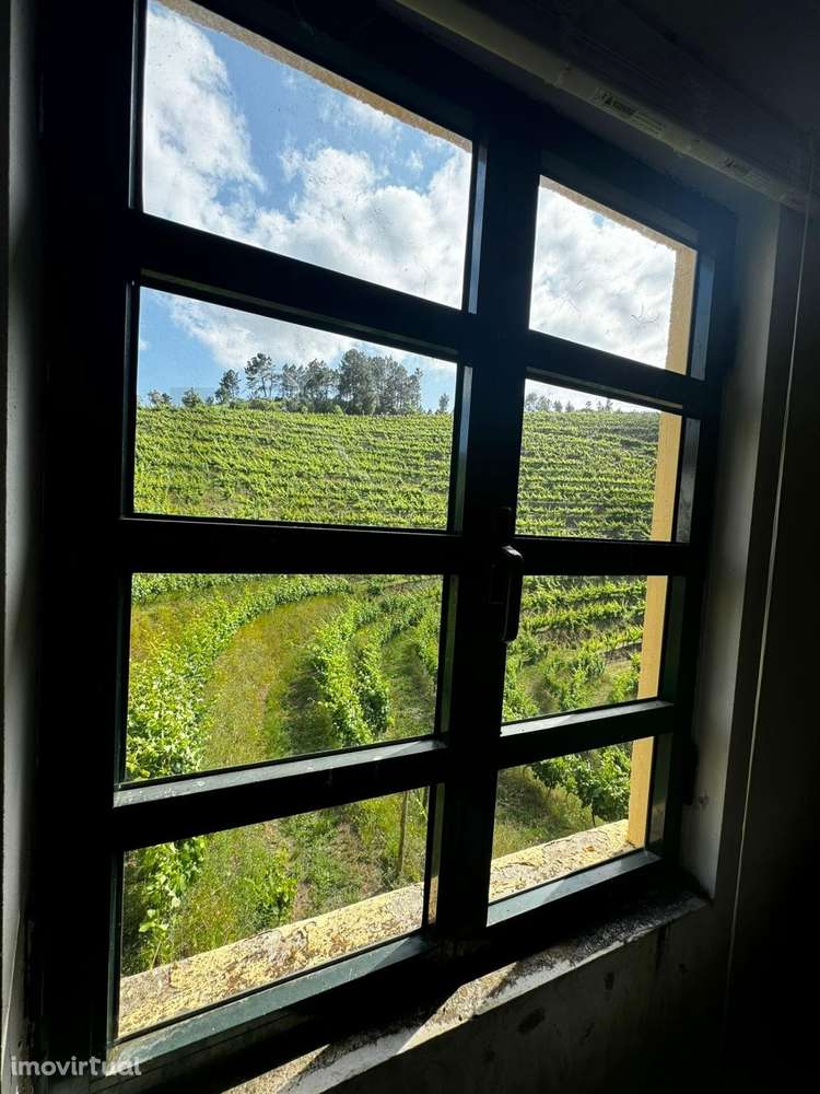 Quinta de Charme no Coração do Douro – Uma Oportunidade Única - Grande imagem: 5/24