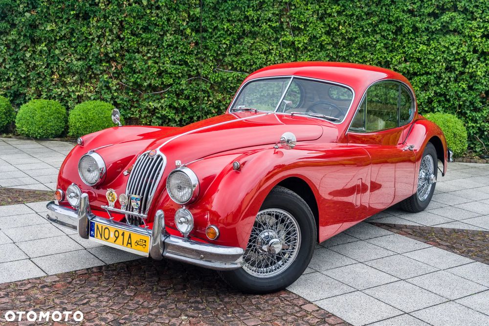 Jaguar XK - 1