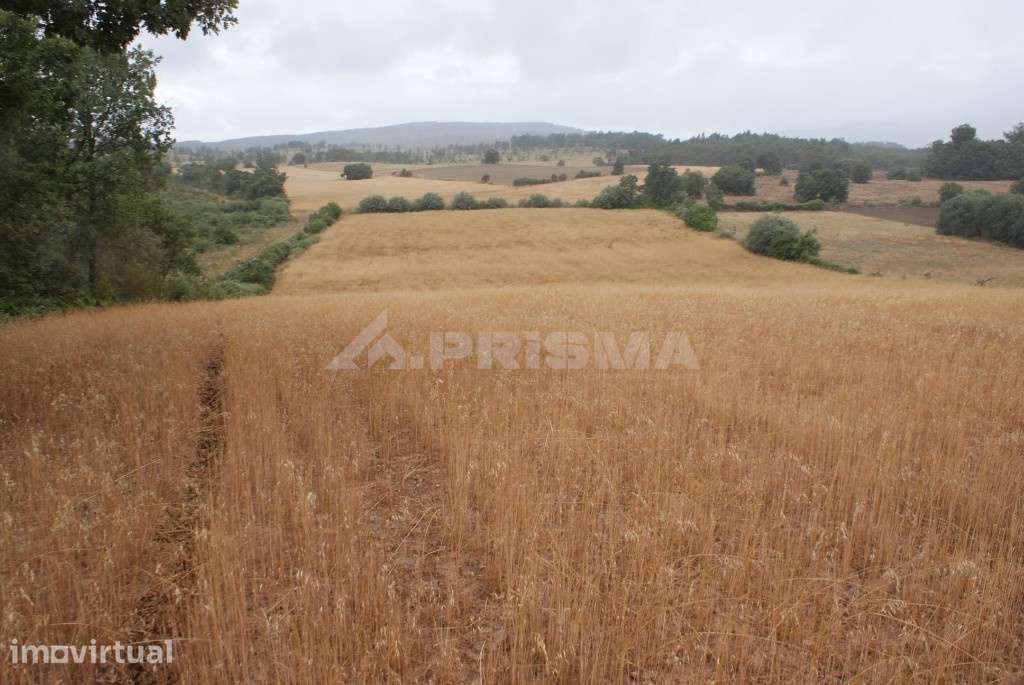 Terreno agrícola para venda - Grande imagem: 3/6