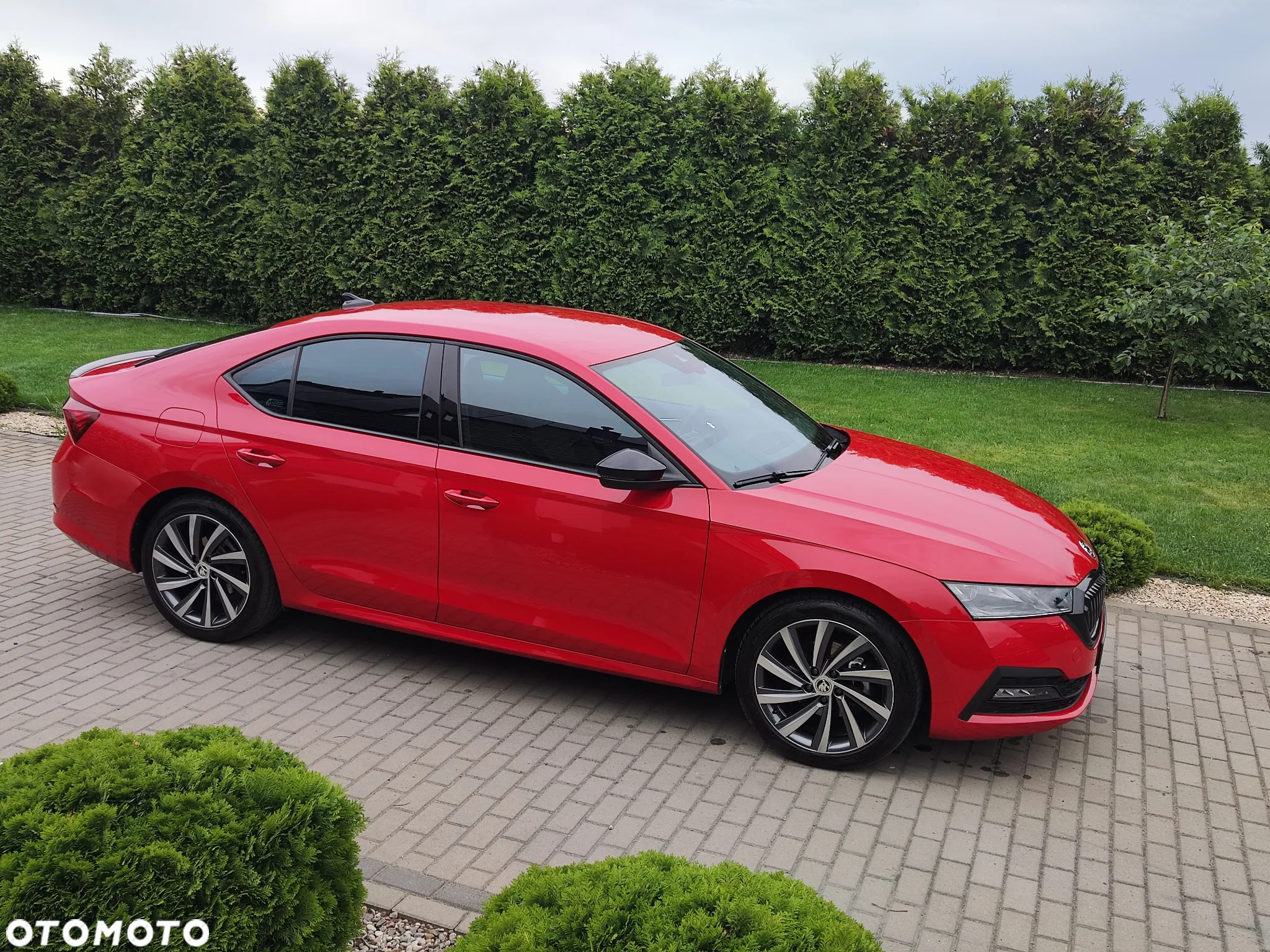 Skoda Octavia - 11