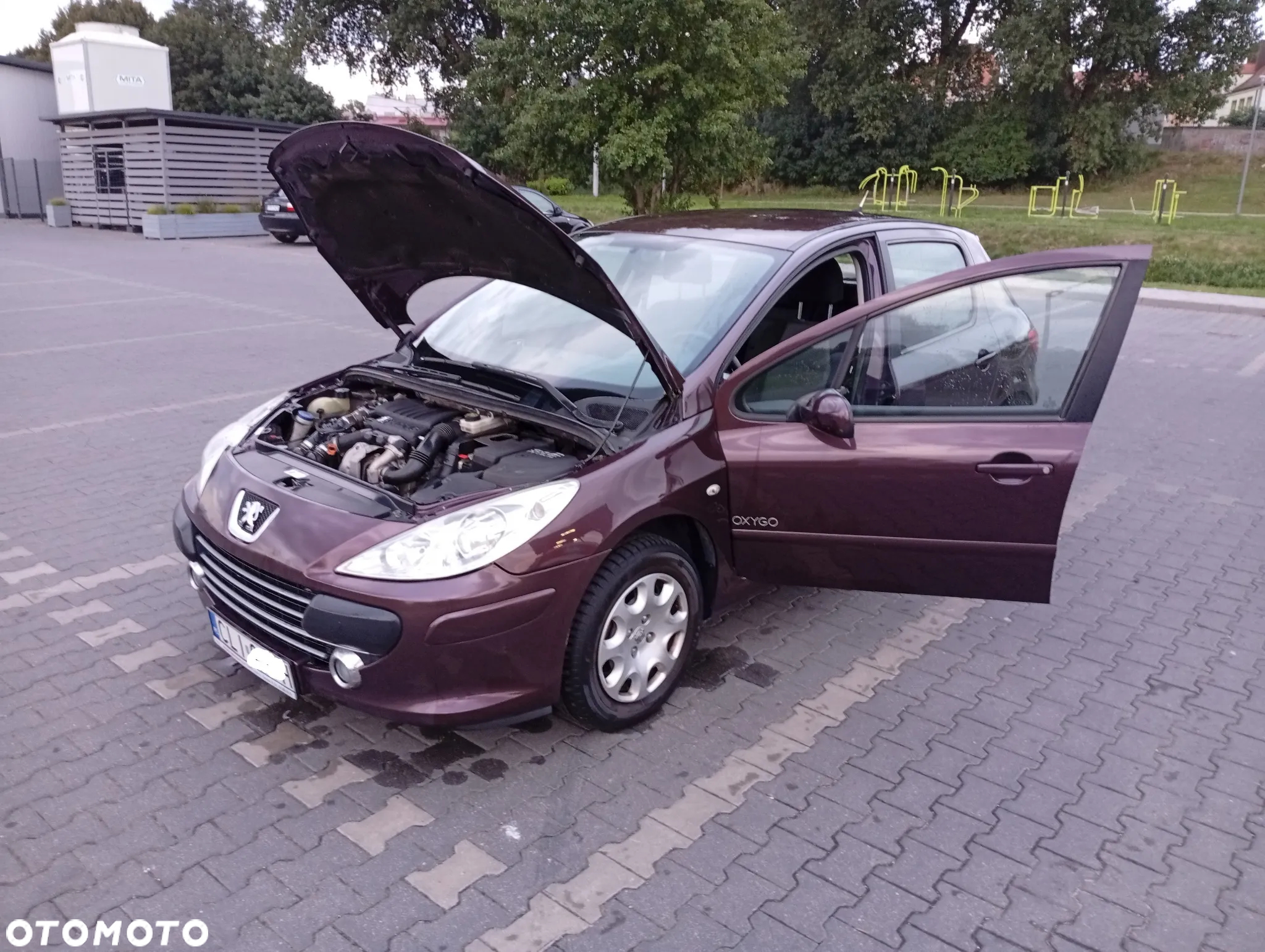 Peugeot 307 1.6 HDI Oxygo - 6