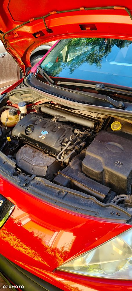 Peugeot 207 - 22