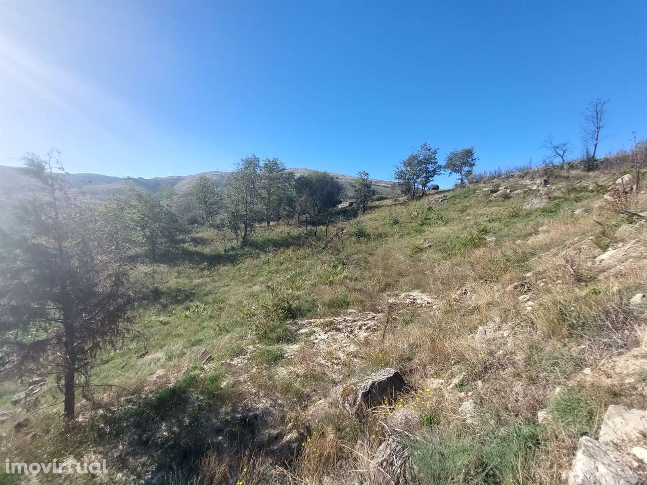 Terreno Rústico  Venda em Figueiró da Serra e Freixo da Serra,Gouveia - Grande imagem: 3/5