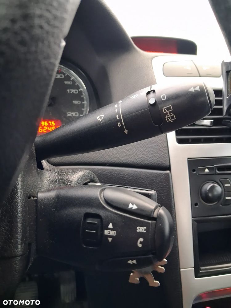 Peugeot 307 1.6 XS - 17