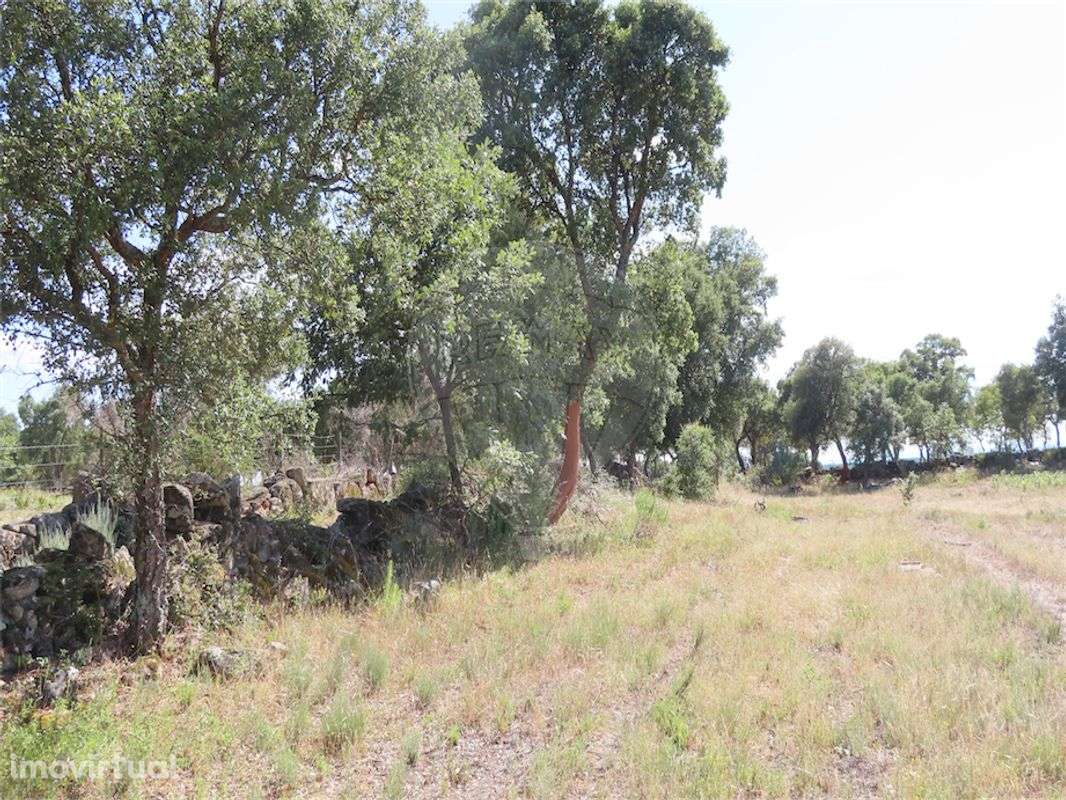 Quinta  para venda - Grande imagem: 5/22