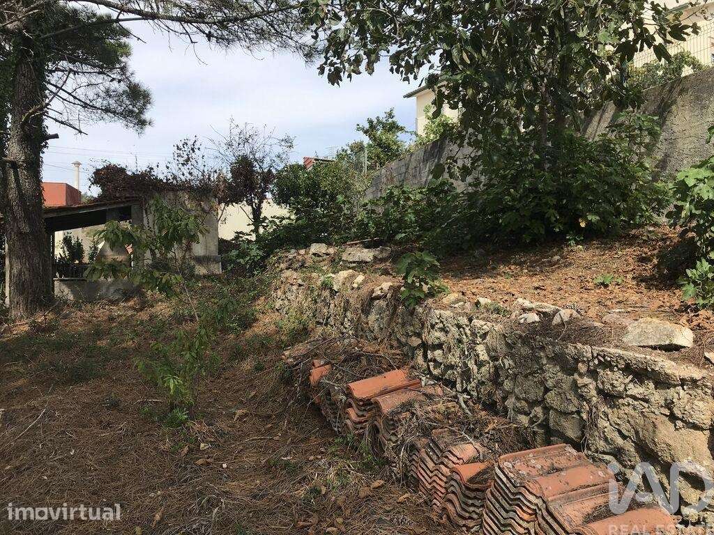 Terreno para construção em Ramada e Caneças - Grande imagem: 5/33