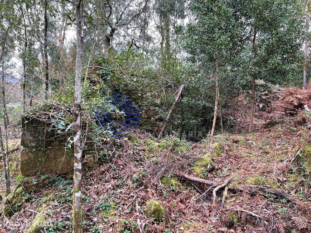 Moradia para recuperar com terreno de 6500 m2 - Grande imagem: 3/9