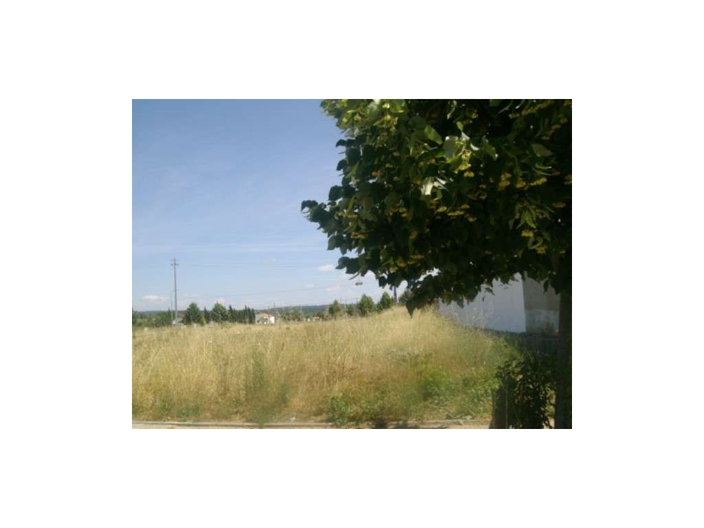Terreno Urbano Venda Abrantes - Grande imagem: 3/6
