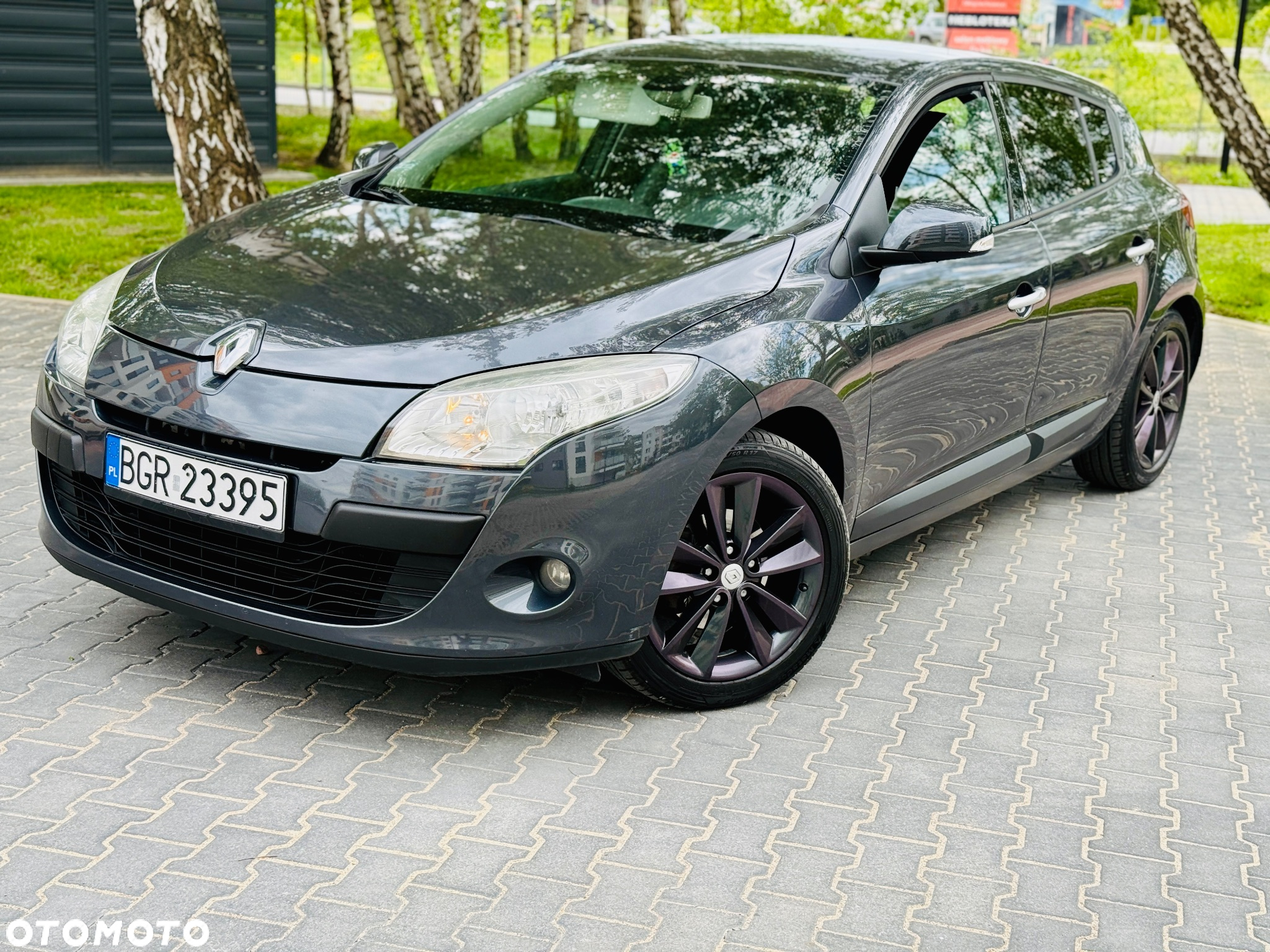 Renault Megane 1.6 16V Color Edition - 13