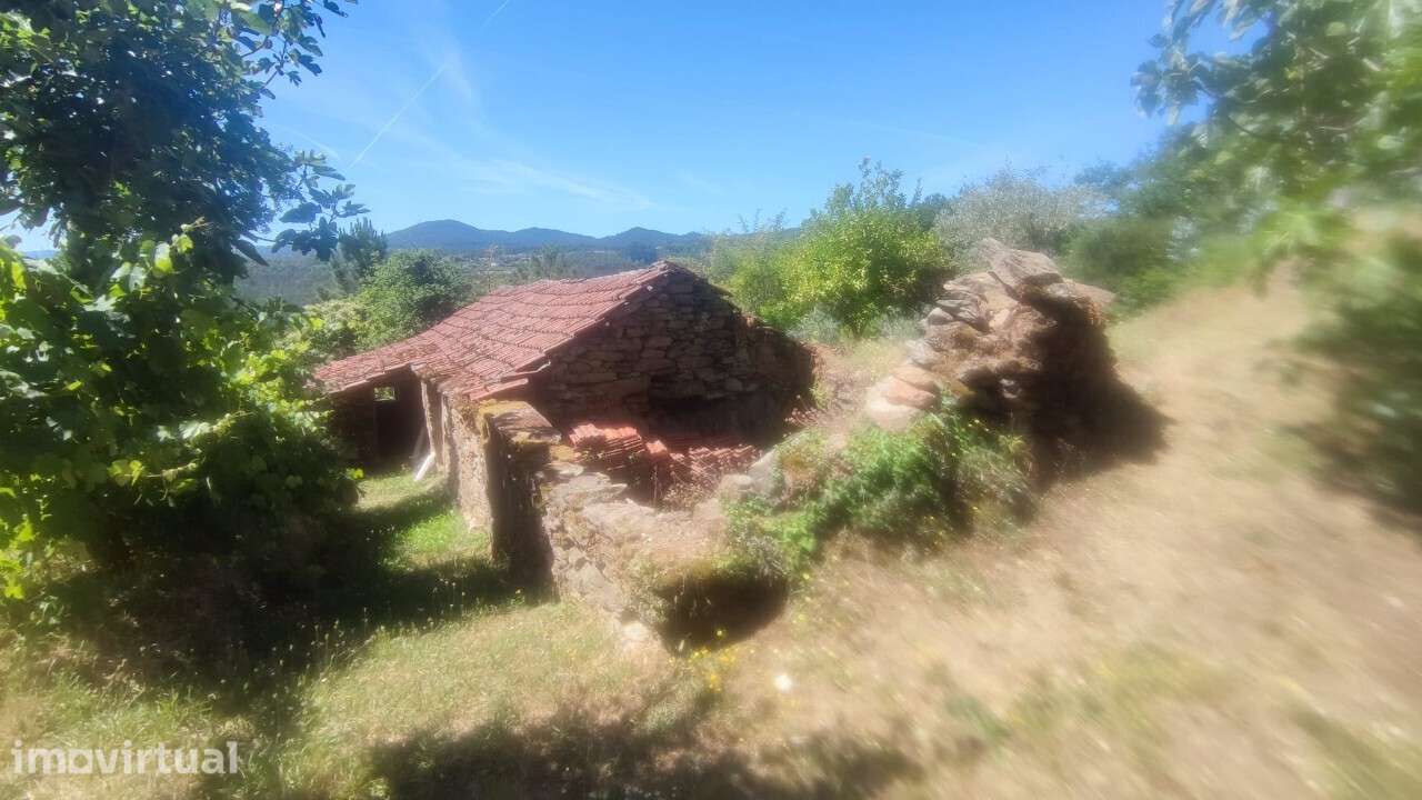 Casa/ Ruína em S. Miguel do Mato - Grande imagem: 5/26