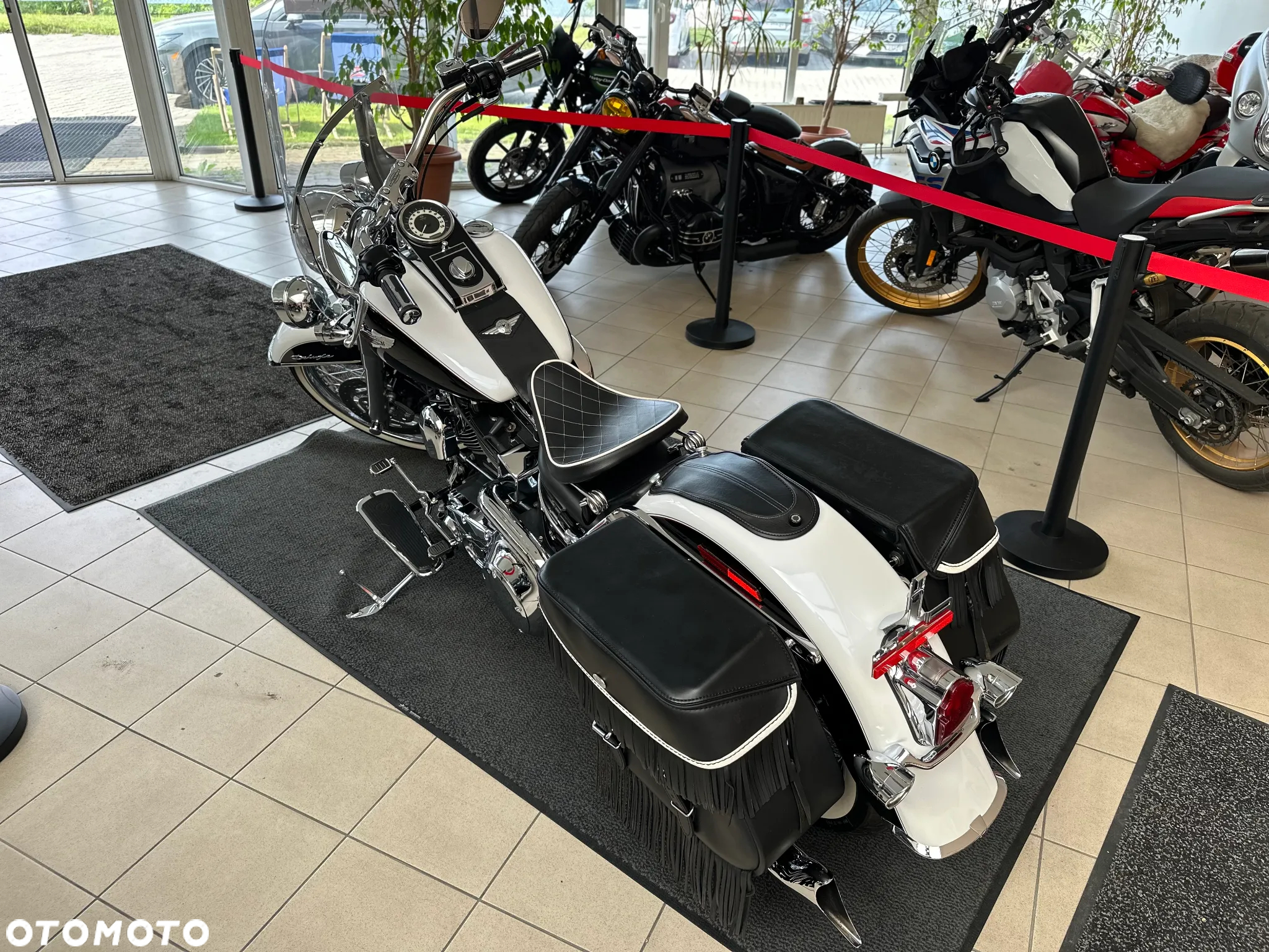 Harley-Davidson Softail - 12