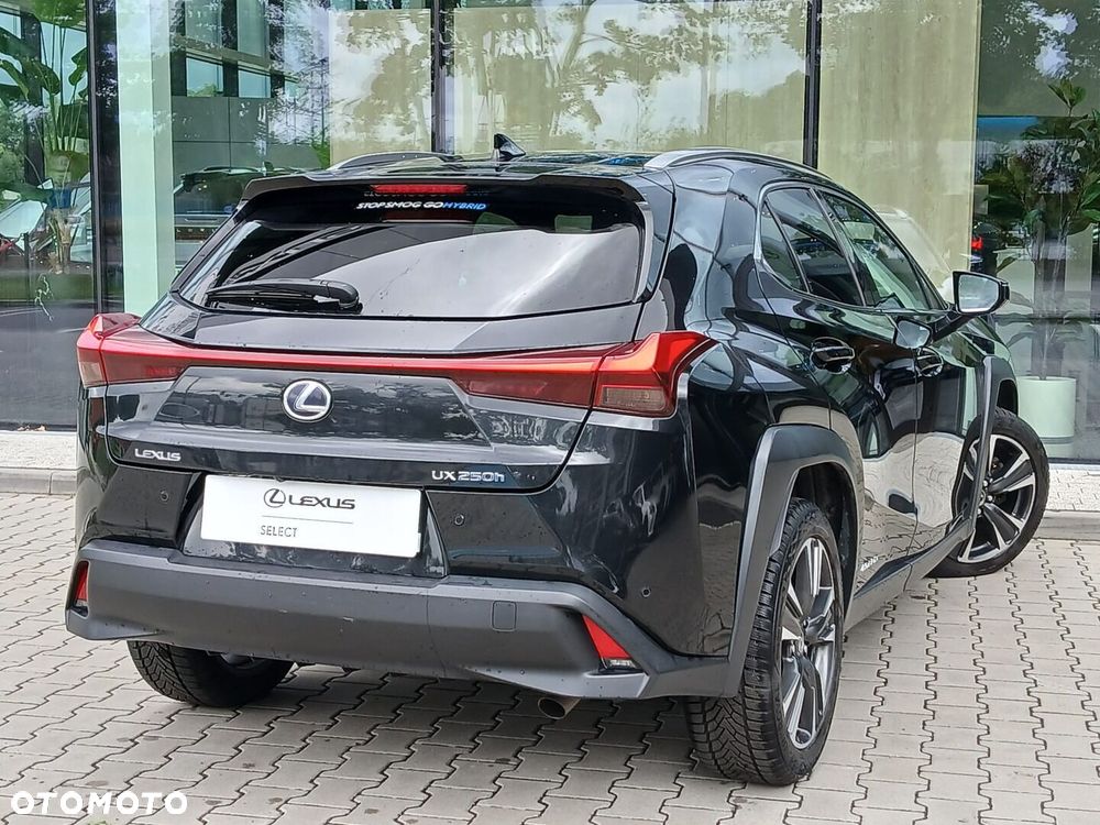 Lexus UX 250h GPF Business Edition 2WD - 12