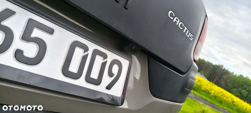 Citroën C4 Cactus BlueHDi 100 Stop&Start Business Class - 20