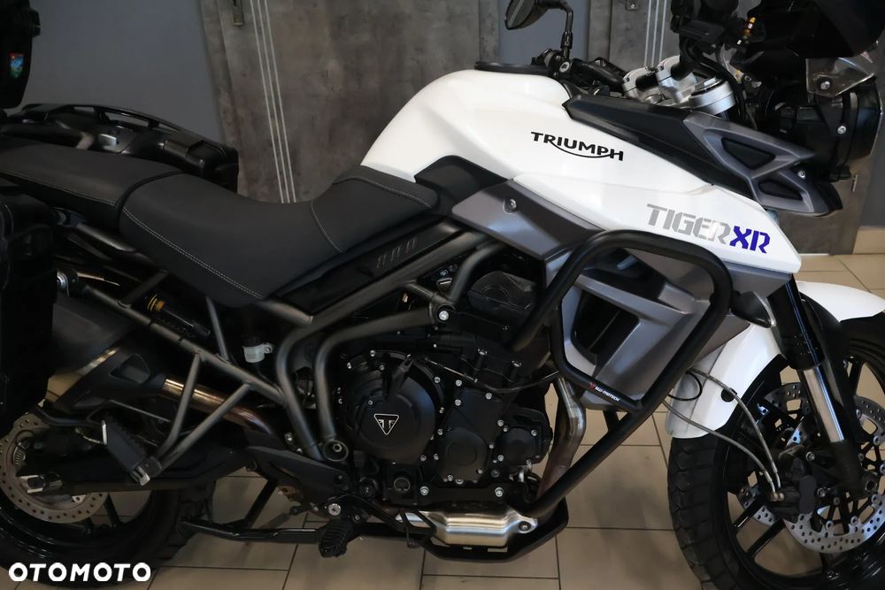 Triumph Tiger - 4