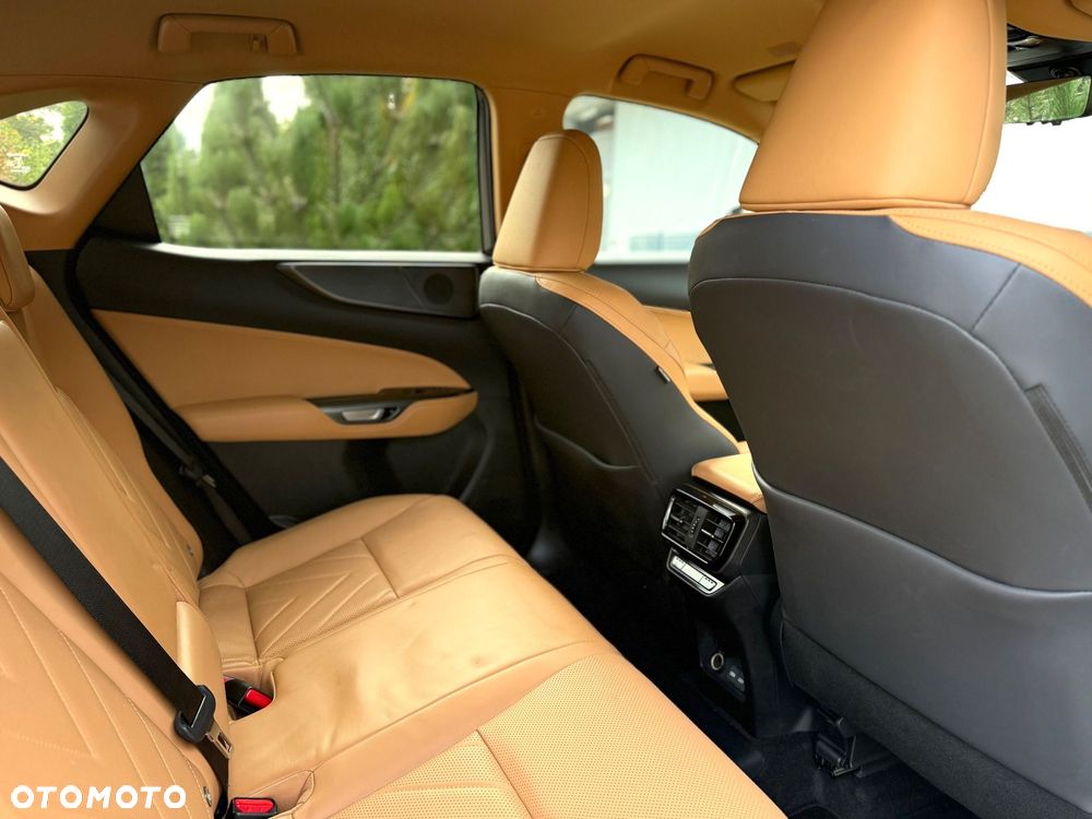 Lexus NX 450h+ Omotenashi AWD - 21