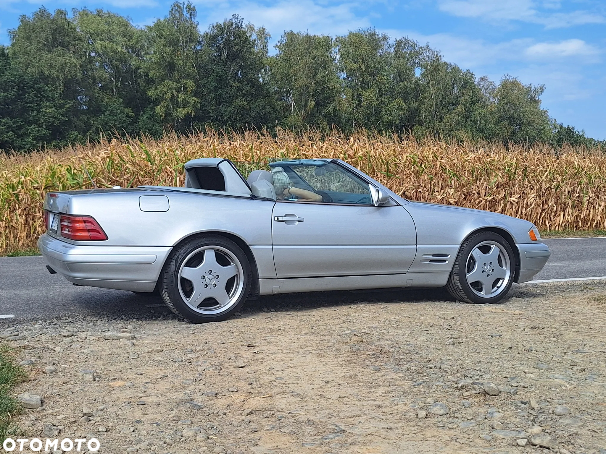 Mercedes-Benz SL 500 - 25
