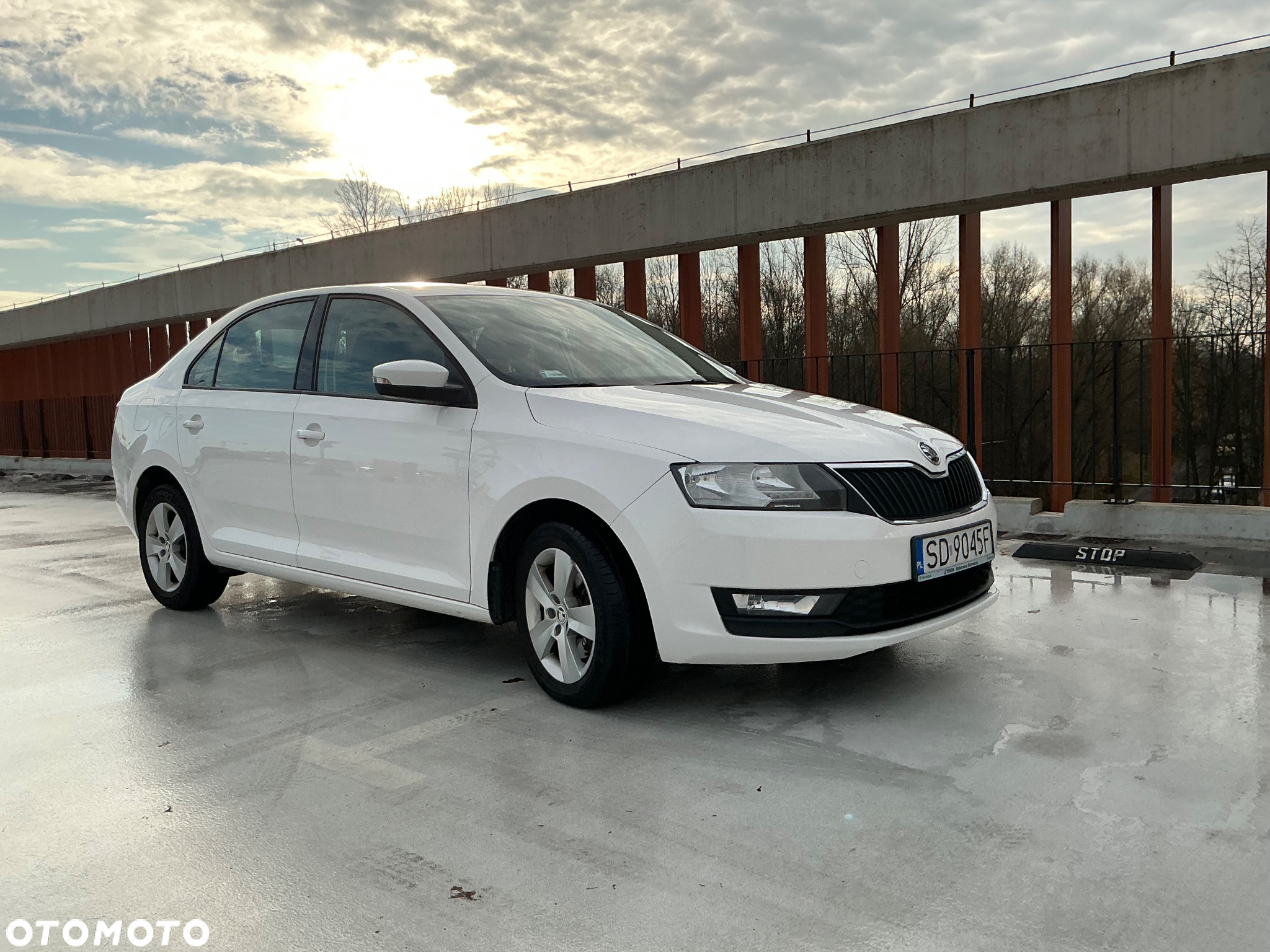 Skoda RAPID 1.0 TSI Ambition - 37