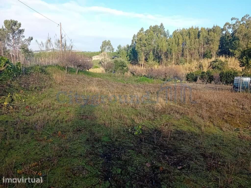 Terreno de 1264m2 com licença levantada em Cortes - Grande imagem: 4/13
