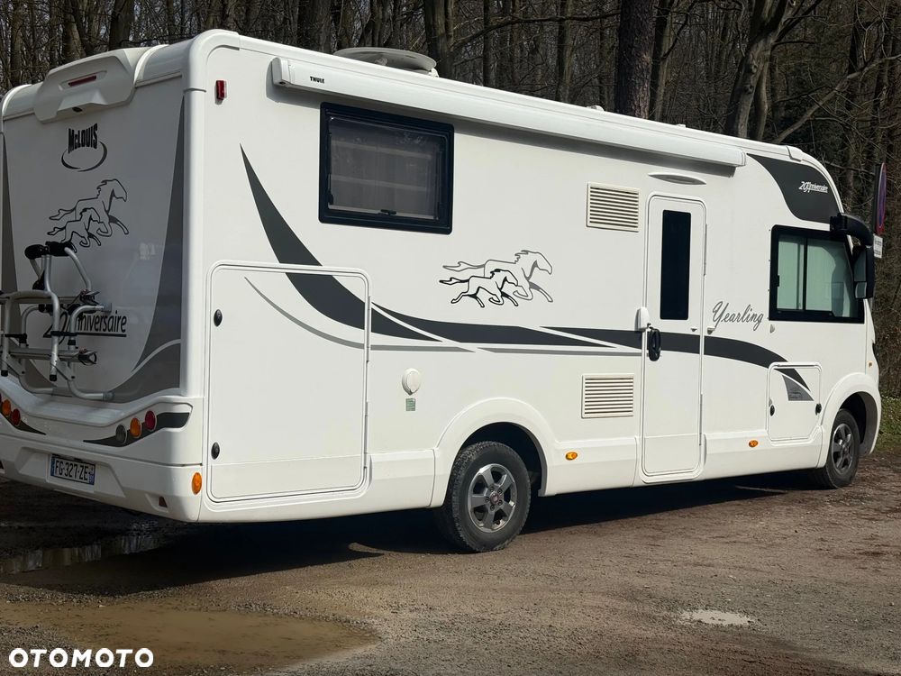 McLOUIS Yearling i61g - 4