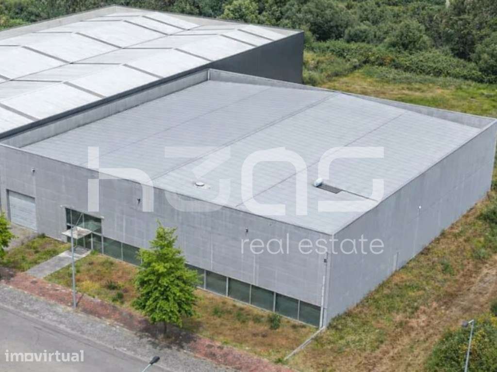 Pavilhão Industrial de Referência com Forte Capacidade Operacional - Grande imagem: 3/9