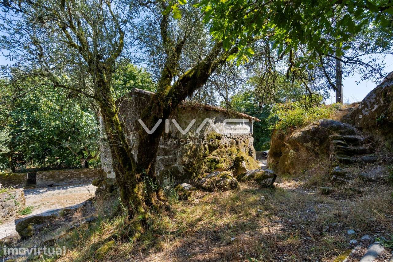 Moradia para Restaurar T0 Venda em Cabril,Montalegre - Grande imagem: 3/31