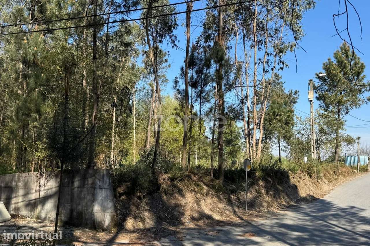 Terreno Urbano em Jesufrei , Vila Nova de Famalicão - Grande imagem: 4/19