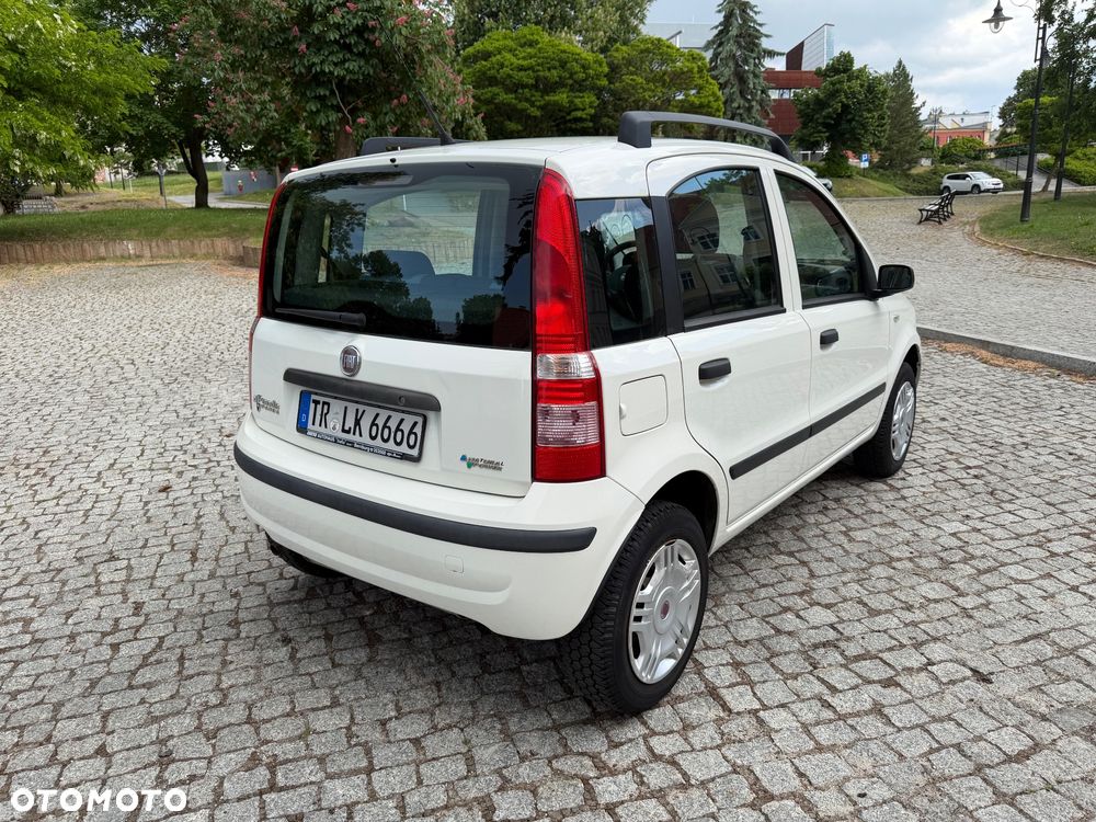 Fiat Panda - 4