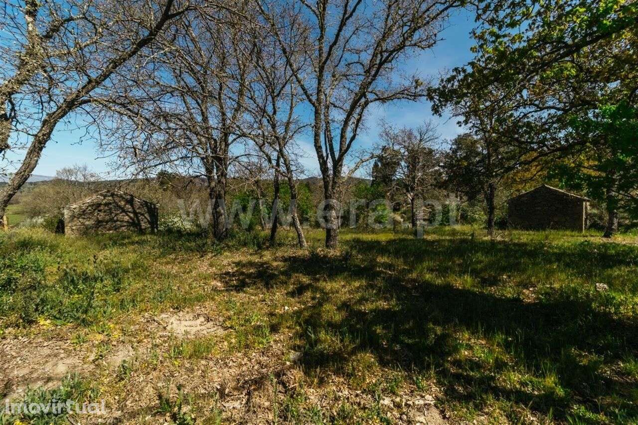 Terreno com ruina / Fundão, Pêro Viseu - Grande imagem: 3/14