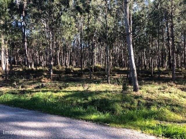 Terreno Rústico em Perímetro Urbano 1.2 ha, Pombal - Grande imagem: 3/8