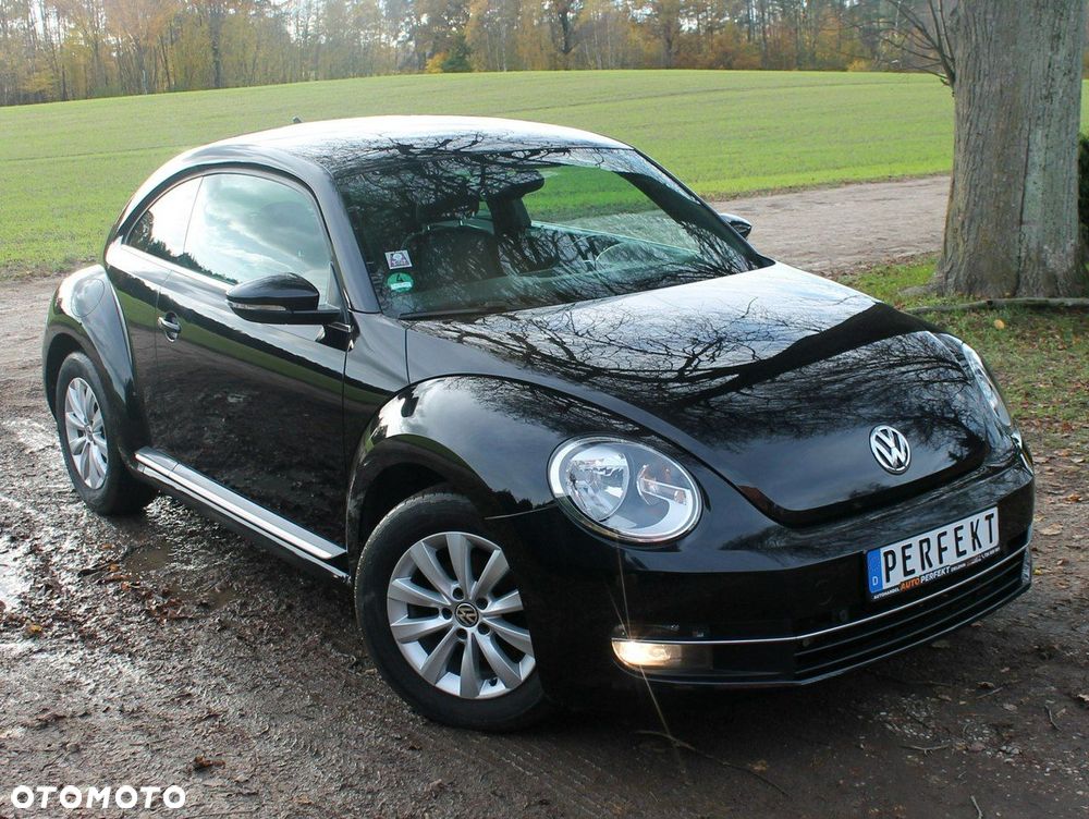 Volkswagen Beetle - 21