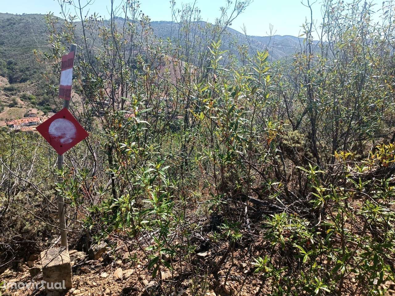 Terreno rustico  de 13000m - Vale Fontes de Cima - Grande imagem: 3/6