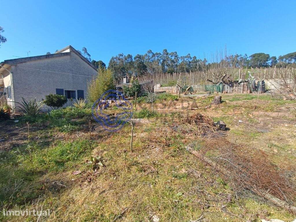 Moradia T3 térrea com terreno 1.080 m2, vista panorâmica, envolvente c - Grande imagem: 4/46