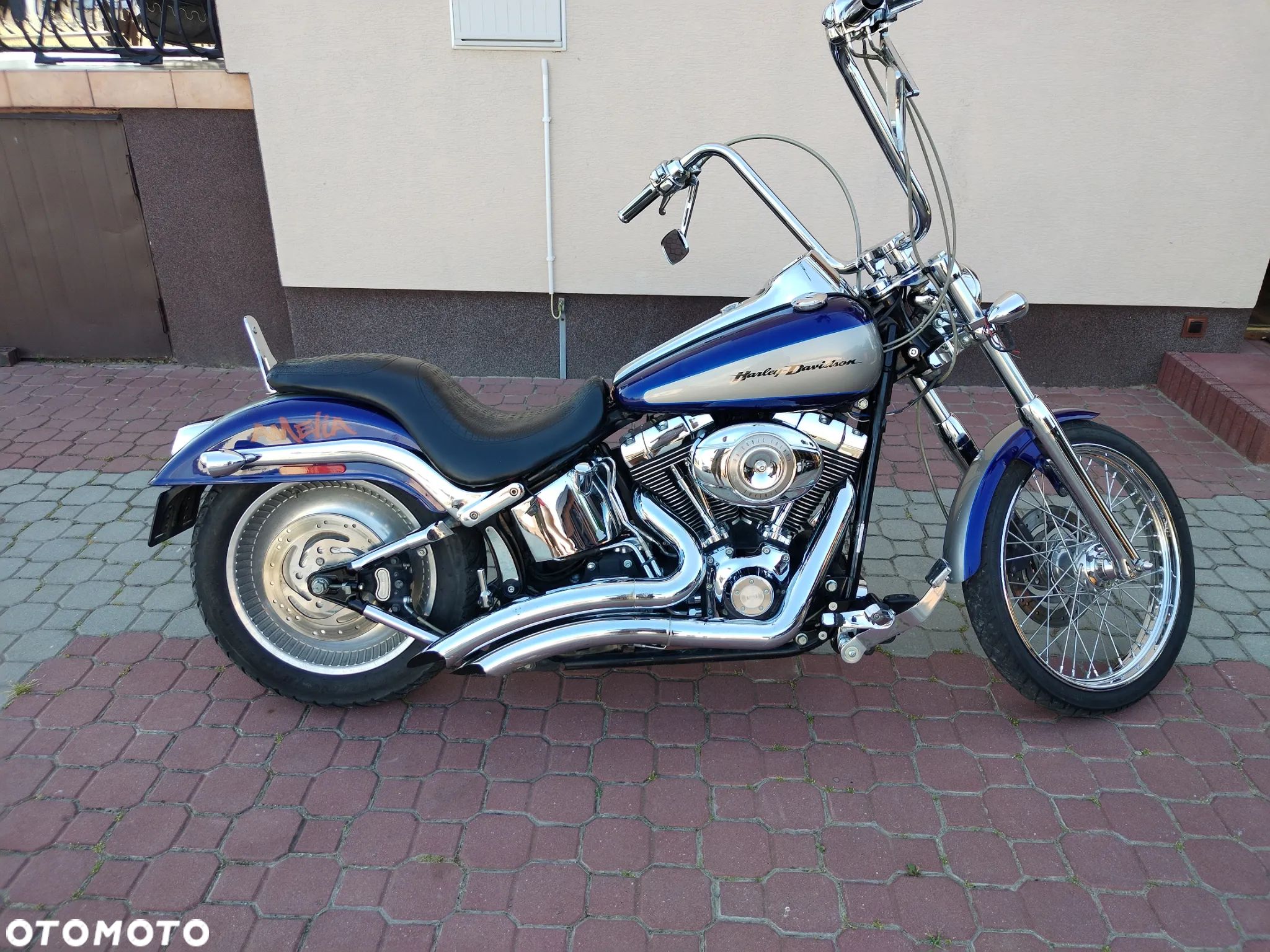 Harley-Davidson Softail - 1