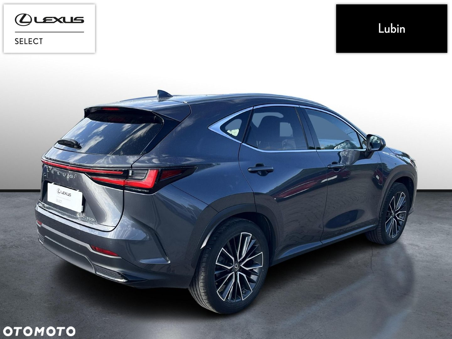 Lexus NX - 5