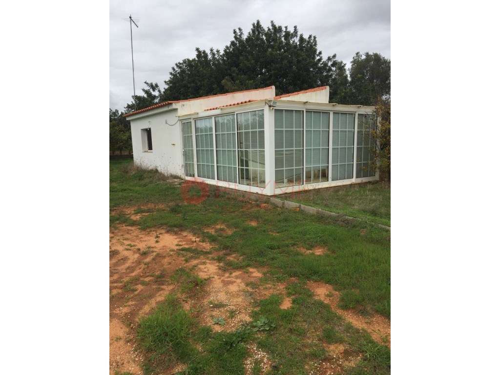 Terreno Rústico Vedado com Anexo em Vale Judeu, Loulé - Grande imagem: 5/5