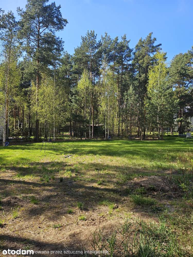 Józefów ul. Polna |919 m²|działka w otoczeniu zieleni i nowej zabudowy - Pełny obrazek: 4/11
