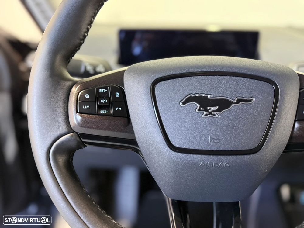 Ford Mustang Mach-E Standard - 24