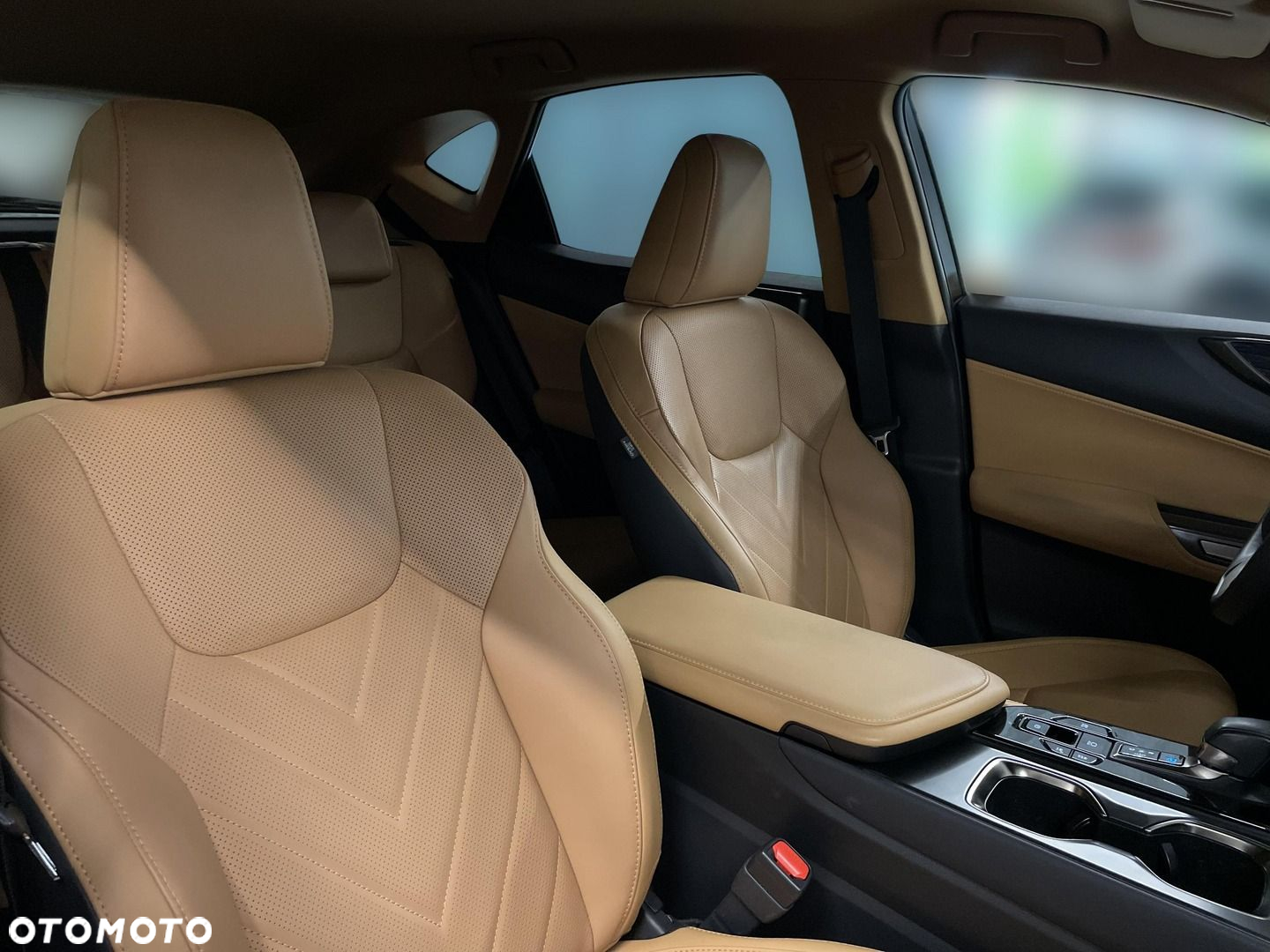 Lexus NX - 13