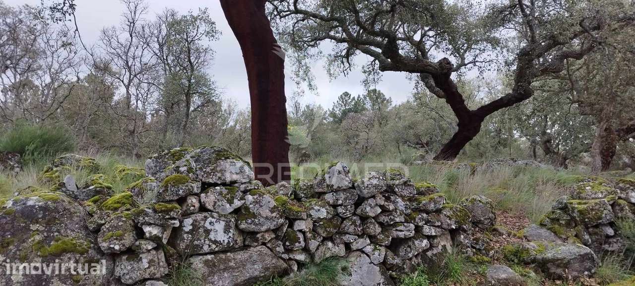 Quinta agrícola em Marvão - Grande imagem: 5/21